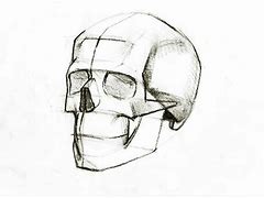 Image result for 3 4. Profile Skull Drawing