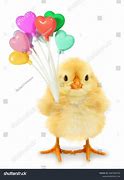 Image result for Happy Birthday Chicken Clip Art