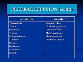 Image result for Pleural Diseases