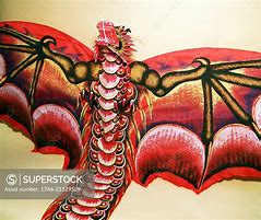 Image result for Davison Dragon Kite