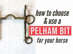 Image result for Pelham Full Bit