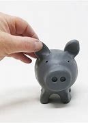 Image result for Piggy Bank Can