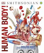 Image result for DK Human Body