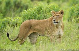 Image result for Fascinating Places in Kenya