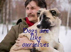 Image result for Dog and Human Quotes