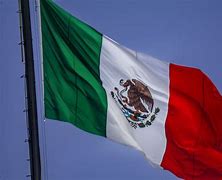 Image result for Mexican Flag Decalk