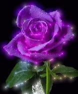 Image result for Purple Rose with Butterfly GIF