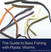 Image result for Soft Plastic Worms