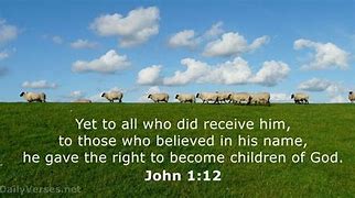 Image result for John 12