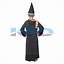 Image result for Hogwarts Halloween Costume