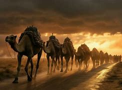 Image result for Camel Caravan Sphinx Wallpaper