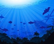 Image result for Sea Background Images Brown