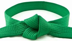 Image result for Wide Green Belt