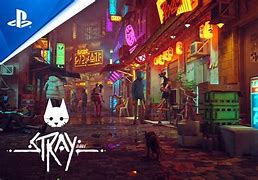 Image result for Stray PS