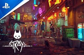 Image result for Cat Game PS5