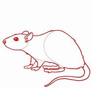 Image result for Easy to Draw Rat