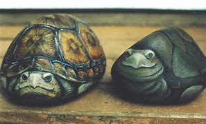 Image result for American Rock Turtle