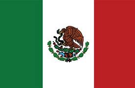 Image result for Real Mexico Flag