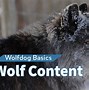 Image result for HDT Wolf