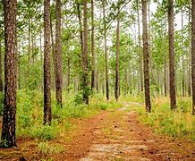 Image result for Texas Nature Reserves