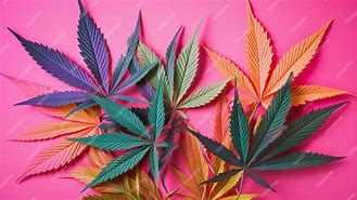 Image result for Pink Marijuana Leaf Design