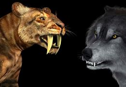 Image result for Dire Wolf Extinct