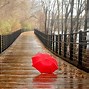 Image result for Rainy Day Back Yard