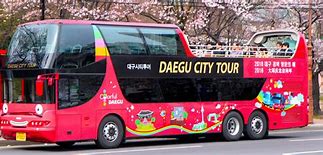 Image result for Open Tour Mini Bus