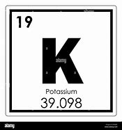 Image result for Potassium Ion Symbol