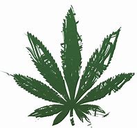 Image result for Transparent Marijuana Leaf Clip Art