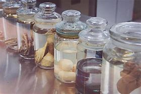 Image result for Lab Sink in Jar