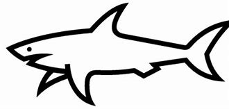 Image result for Shark Fin Outline SVG