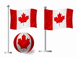 Image result for Canada Flag Ball Plush PWA