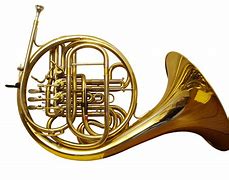 Image result for Tuba Horn Instrument