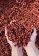 Image result for Mulch Pics