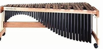 Image result for Marimba Musical Instrument