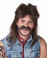 Image result for Mullet Wig