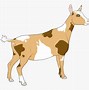 Image result for Pygmy Goat Clip Art