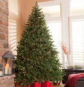 Image result for Christmas TRE-PI