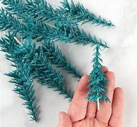 Image result for Miniature Fir Trees