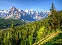 Image result for Mountain Forest Scenery