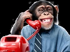 Image result for Talking On Phone Meme