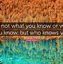 Image result for People You Know Series