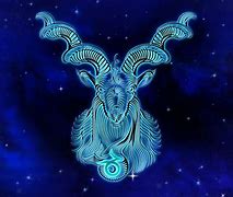 Image result for Capricorn Astrology