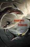 Image result for Barracuda vs Shark