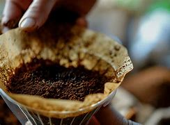 Image result for Which Houseplants Like Coffee Grounds