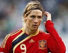 Image result for Fernando Torres Spain Champion