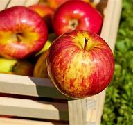 Image result for Apple Naviqasiya