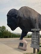 Image result for A Big Hit Buffalo