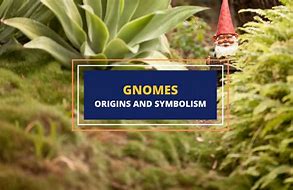 Image result for What Are Gnomes a Symbol Of